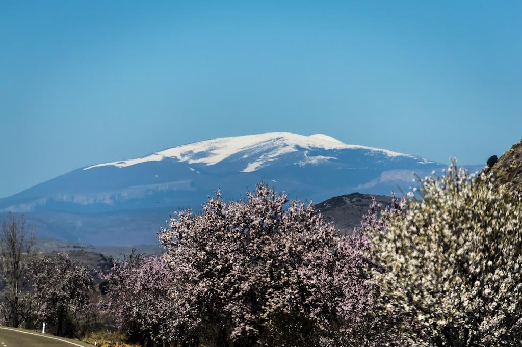 Casa Rural Los Lilos Gotor Bilik gambar