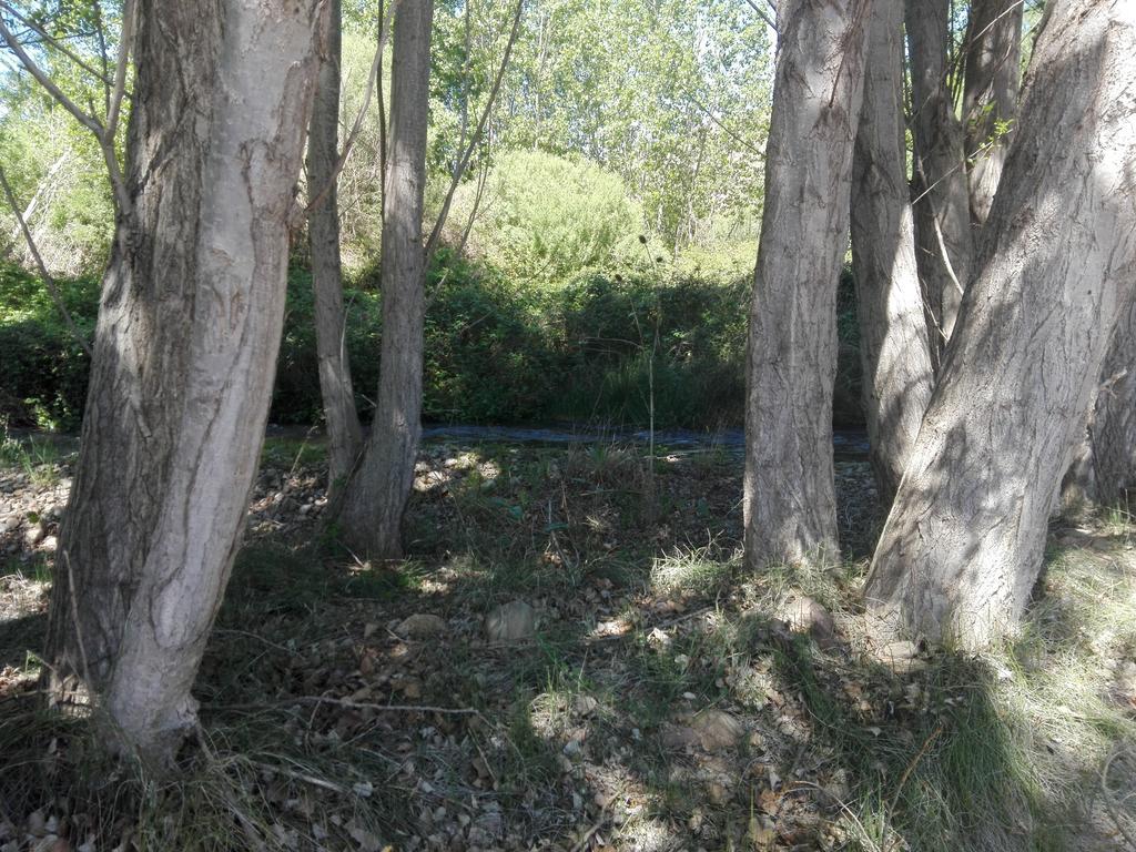 Casa Rural Los Lilos Gotor Luaran gambar
